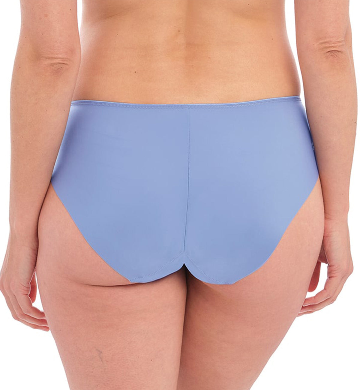 Fantasie Illusion Brief (2985),Small,Smokey Blue - Smokey Blue,Small