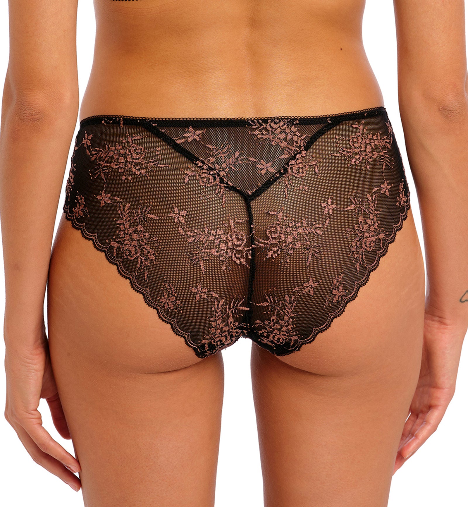 Freya Offbeat Decadence Lace Panty Brief (402550),Medium,Black - Black,Medium