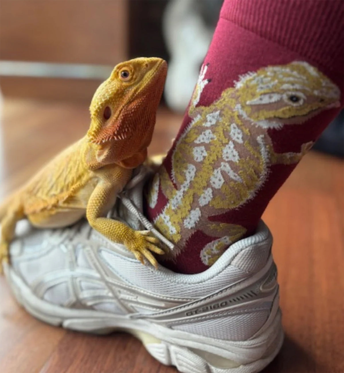 SOCK it to me Men's Crew Socks (MEF0714),Bearded Dragon - Bearded Dragon,One Size