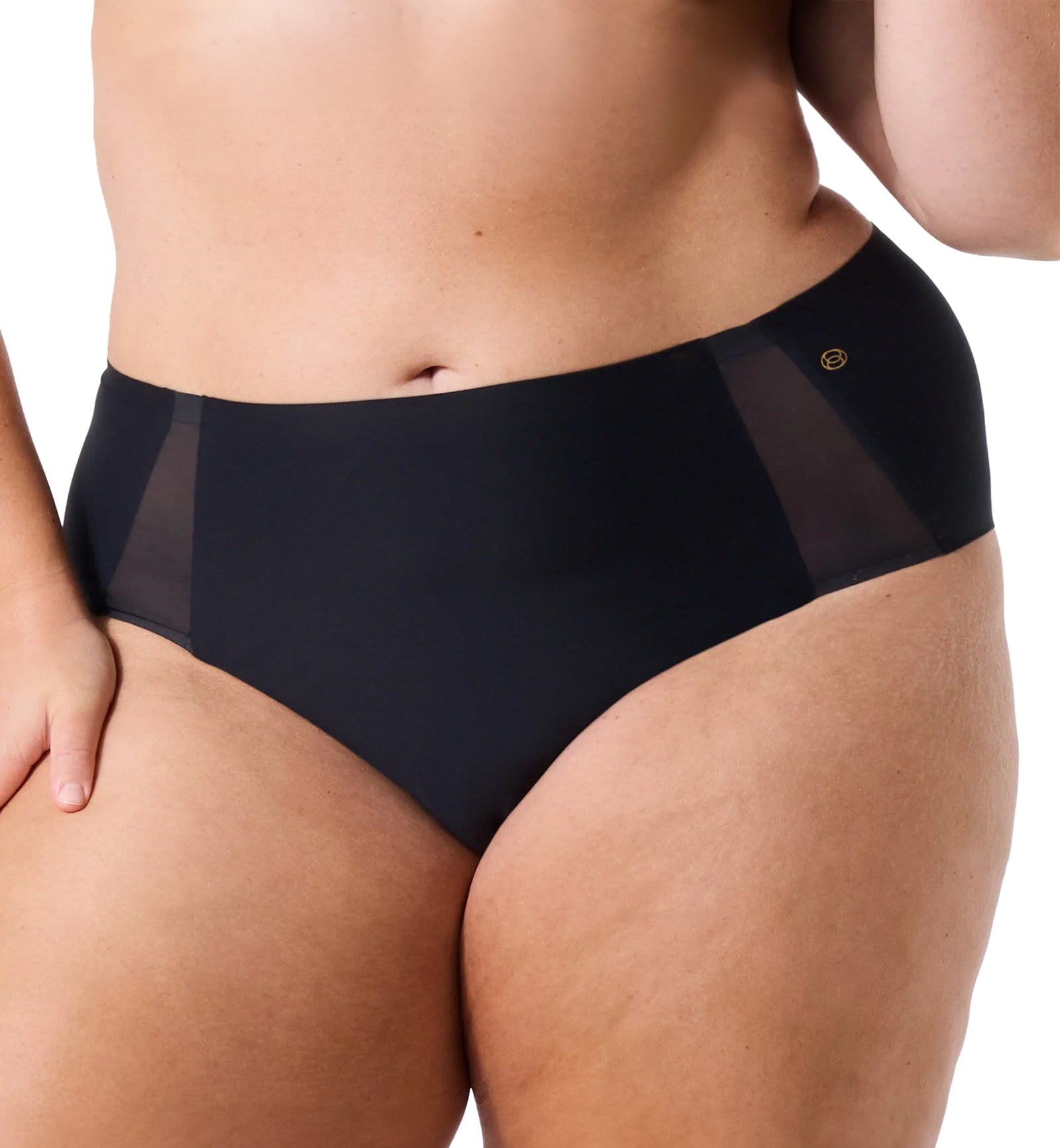 Evelyn & Bobbie Mesh High-Waisted Retro Bikini Panty (1870),US 0-14,Black Mesh - Black Mesh,US 0-14