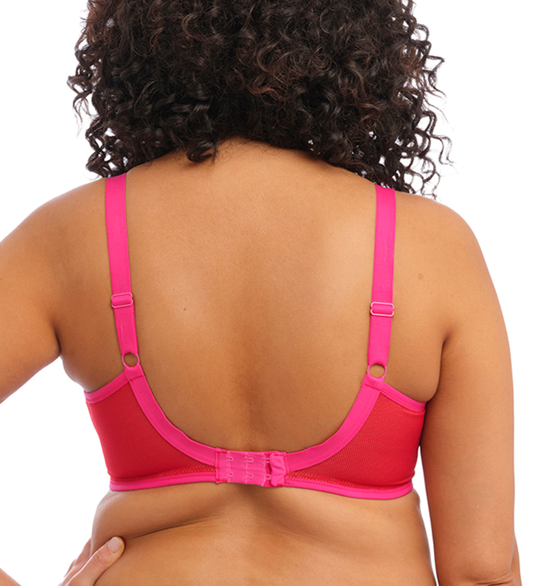 Elomi Kintai Peek-a-Boo Plunge Underwire Bra (301202),34HH,Cha Cha - Cha Cha,34HH