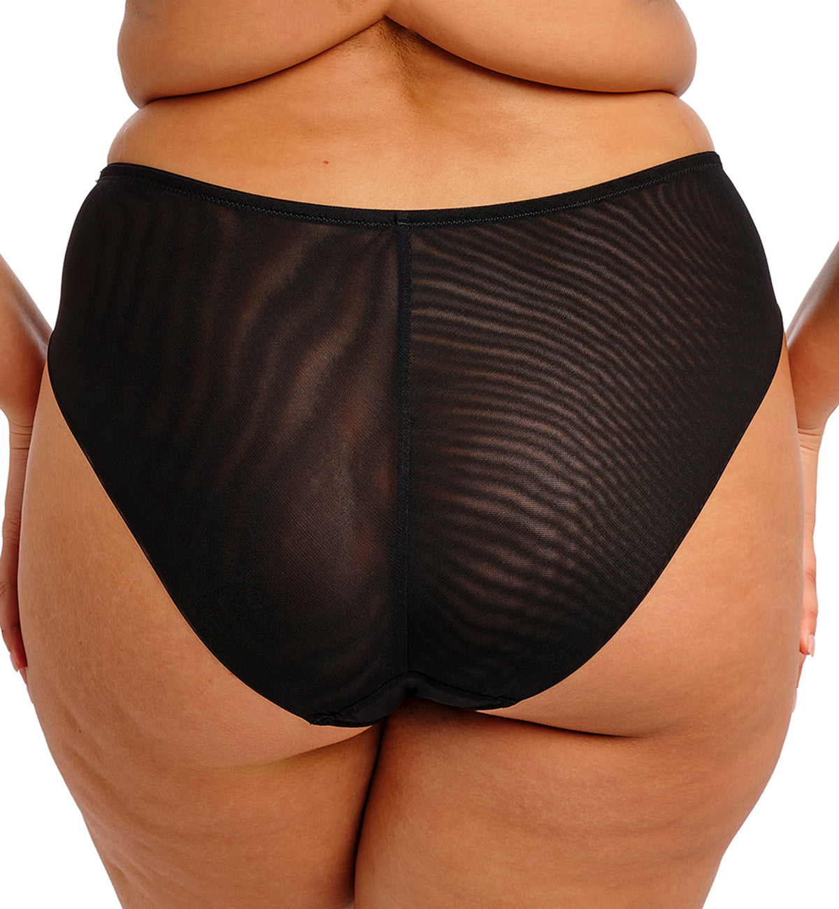 Elomi Reja Panty Brief (303150),Small,Black - Black,Small