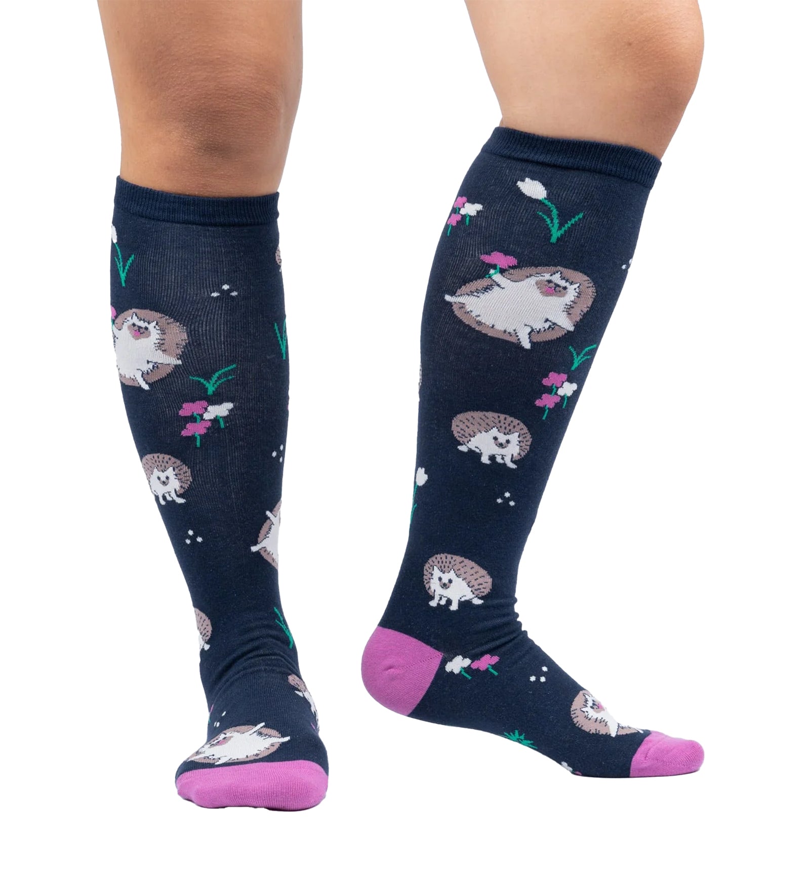 SOCK it to me Unisex Knee High Socks (F0588),Rollin' with my Hedgehog - Rollin' with my Hedgehog,One Size