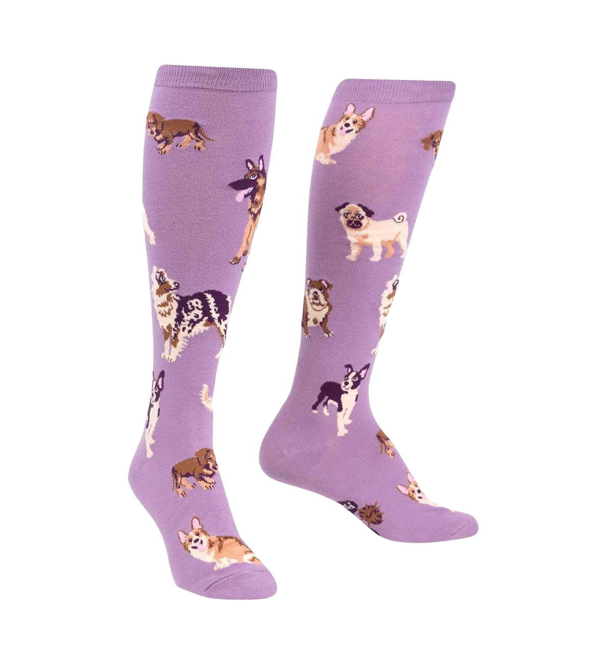 SOCK it to me Unisex Knee High Socks (F0523),Stay Pawsitive - Stay Pawsitive,One Size
