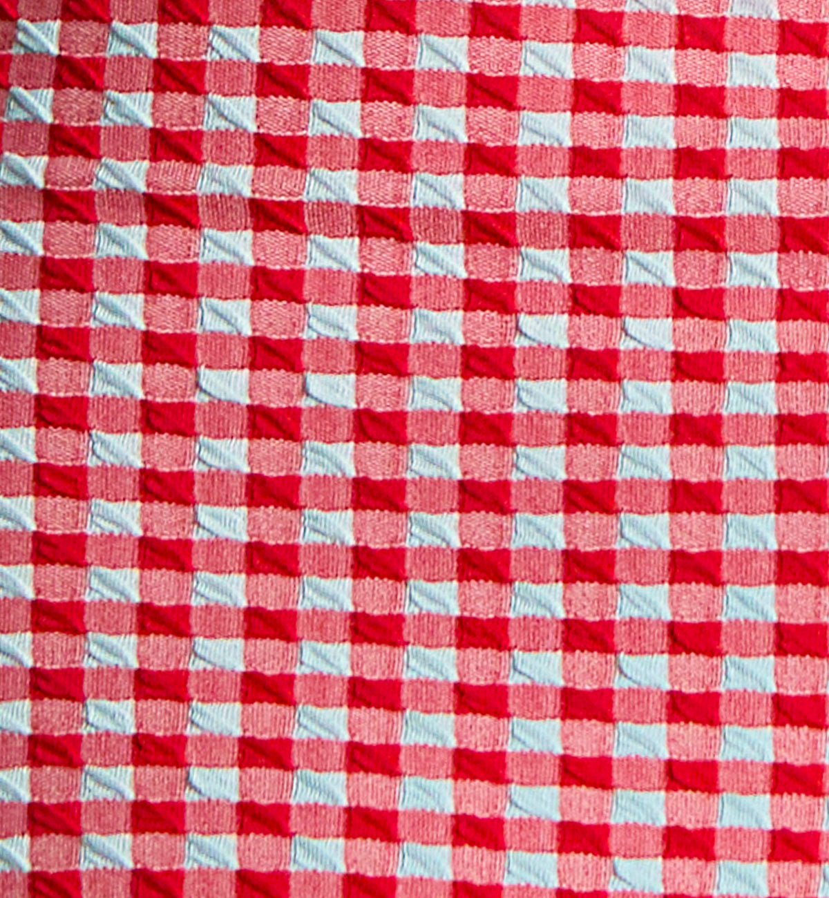 Panache Classic Swim Pant (SW1726),8-XS,Red Gingham - Red Gingham,XS