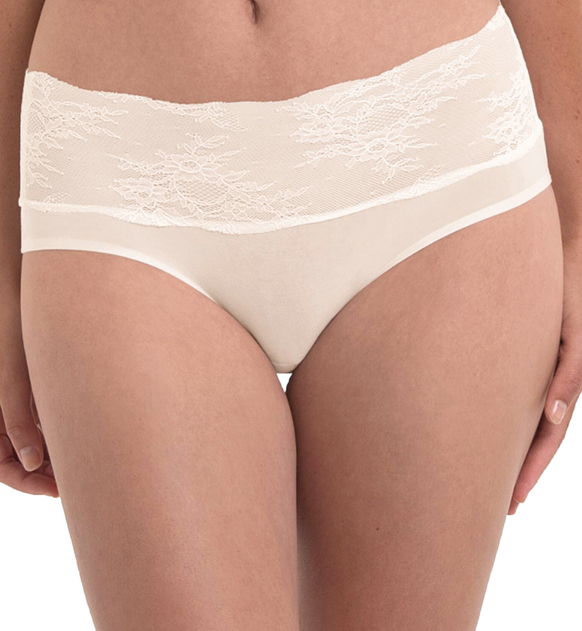 Anita Essential Lace High Waist Brief Panty (1304),Small,Crystal - Crystal,Small