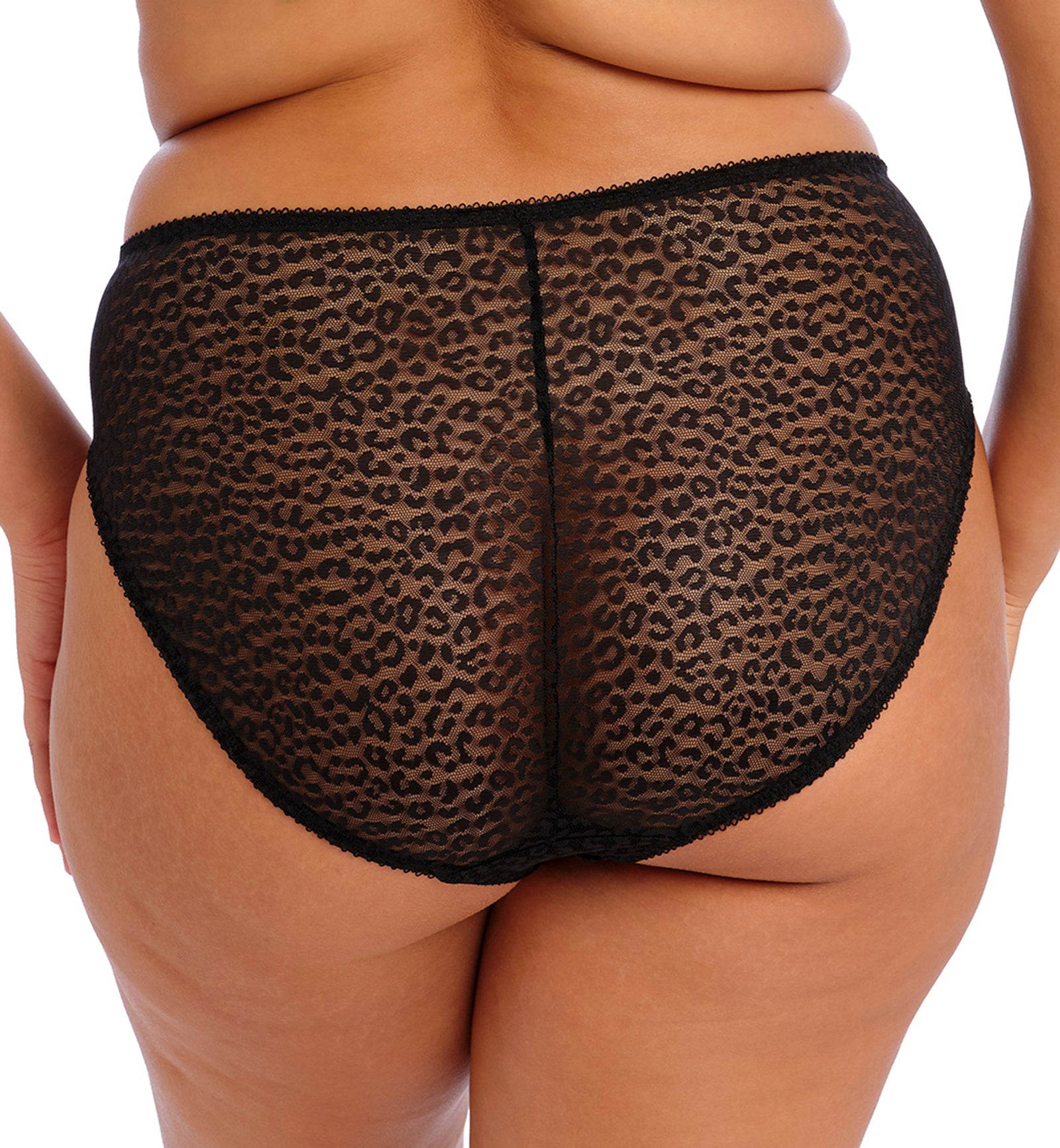 Elomi Lucie Matching High Leg Brief (4496),Medium,Rock N Rose - Rock N Rose,Medium