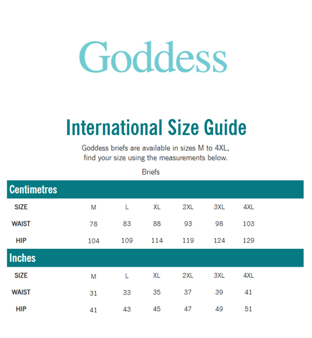 Goddess Kayla Matching Brief (6168),2XL,Dark Romance - Dark Romance,2XL