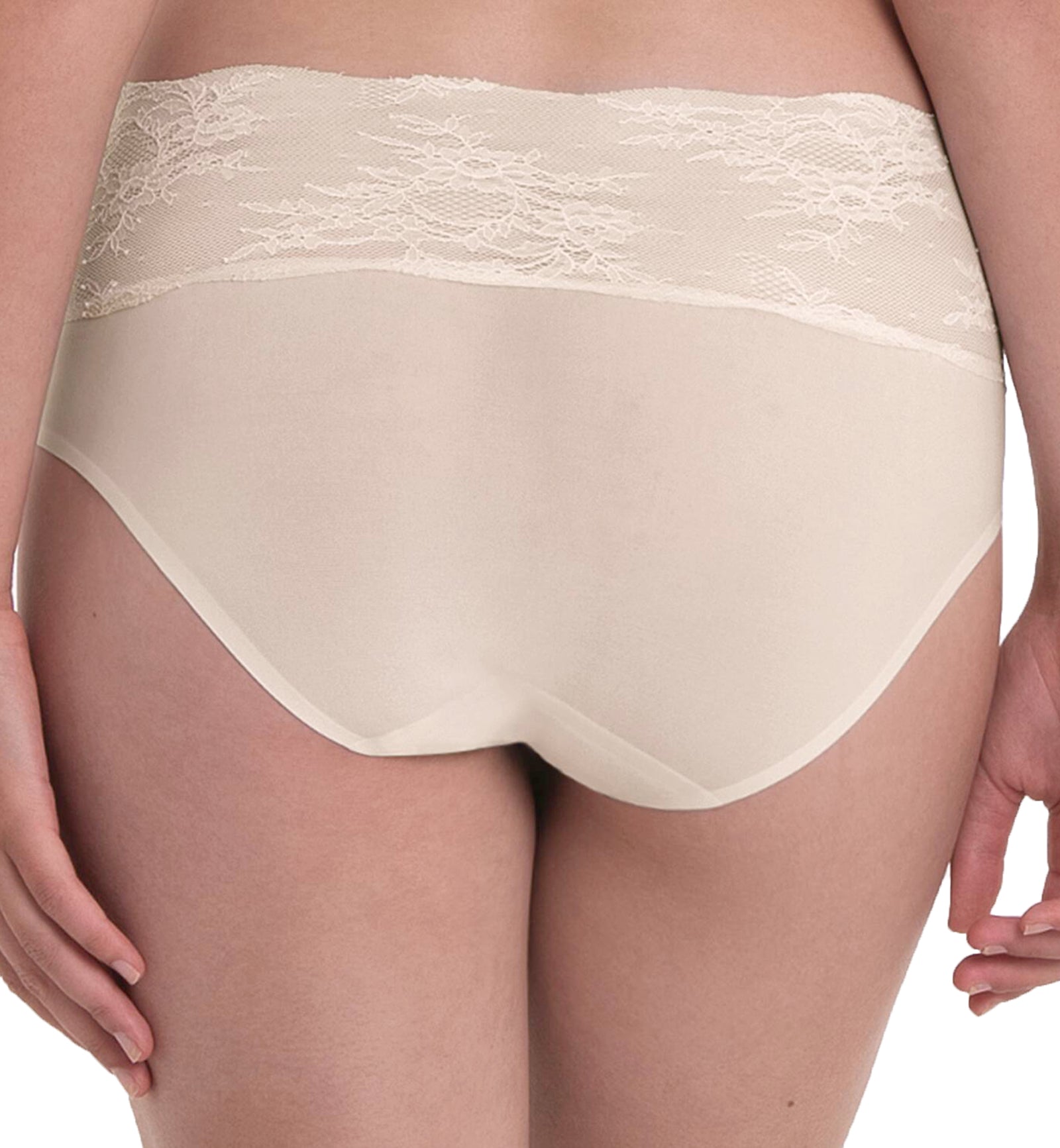 Anita Essential Lace High Waist Brief Panty (1304),Small,Crystal - Crystal,Small