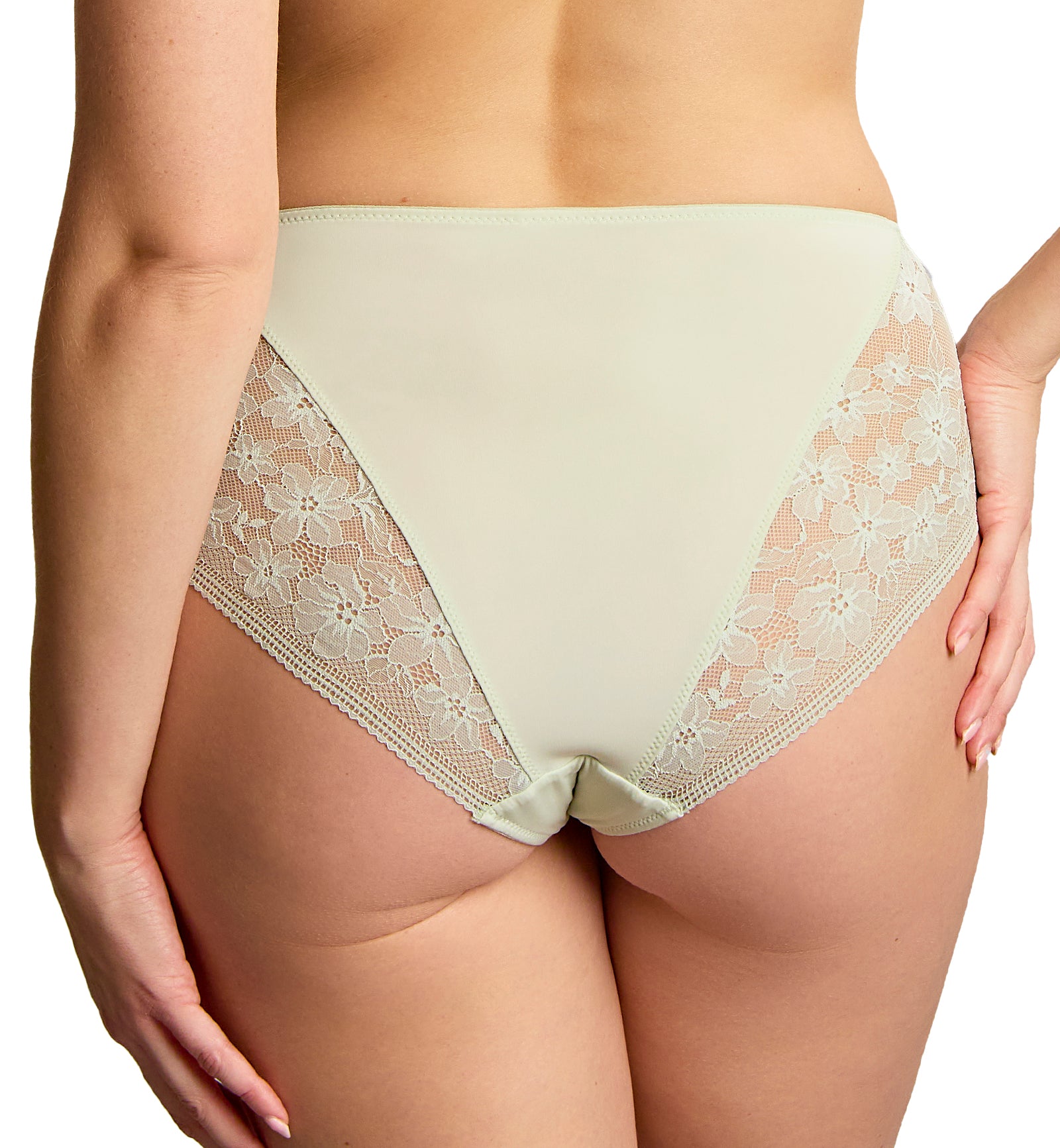 Panache Celeste Deep Brief (11404),Small,Pistachio - Pistachio,Small