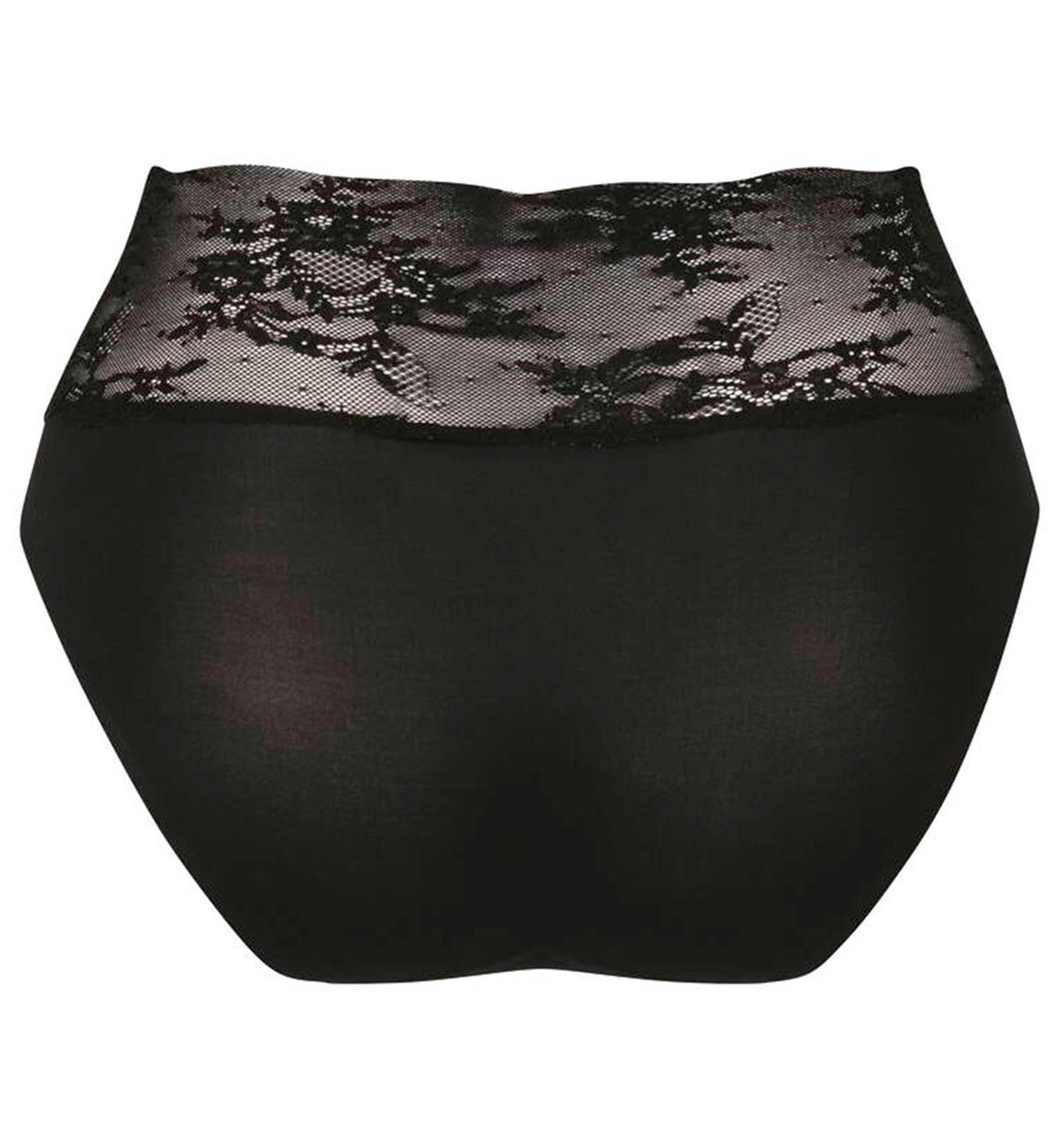 Anita Essential Lace High Waist Brief Panty (1304),Small,Black - Black,Small