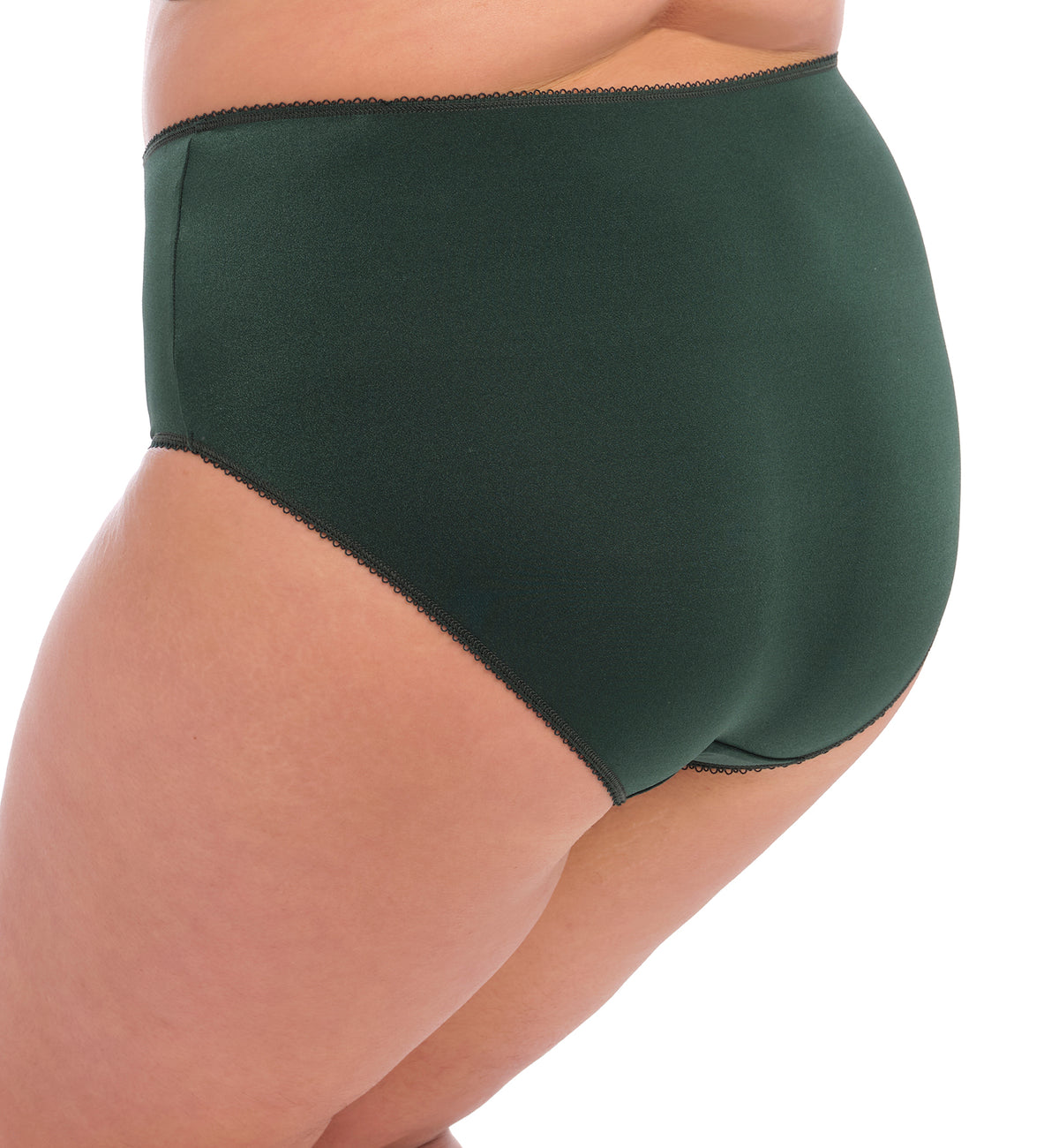 Elomi Cate Full Panty Brief (4036),XL,Pine Grove - Pine Grove,XL