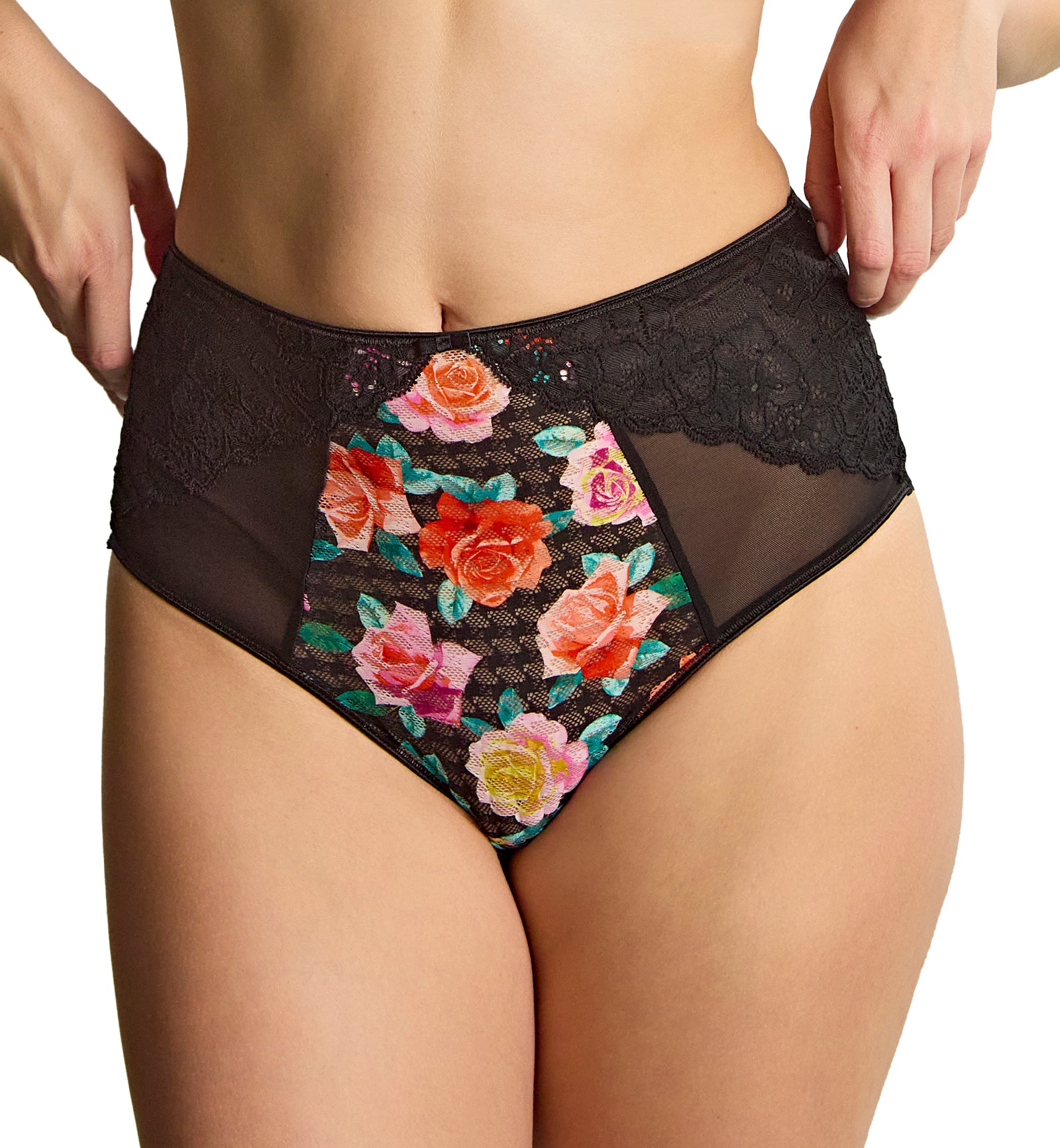 Panache Envy Deep Brief (7283),XS,Black Rose - Black Rose,XS