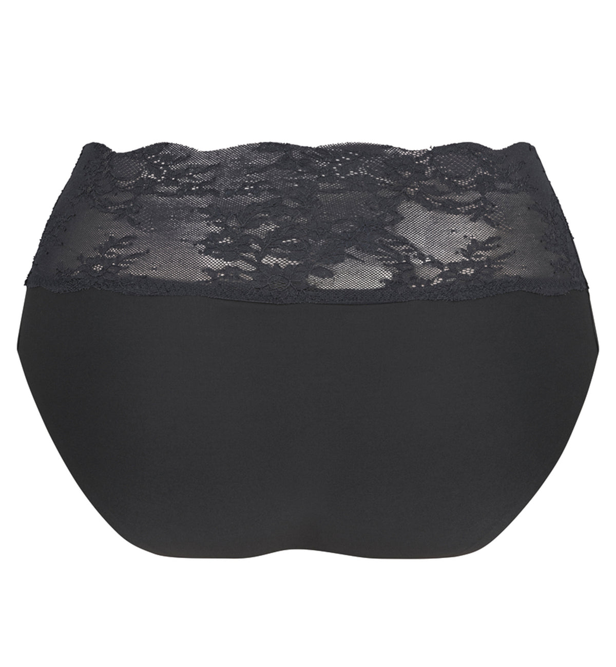 Anita Essential Lace High Waist Brief Panty (1304),Small,Anthracite - Anthracite,Small