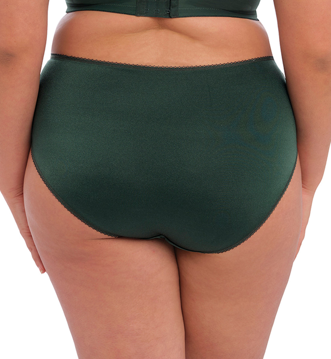 Elomi Cate Full Panty Brief (4036),Large,Pine Grove - Pine Grove,Large