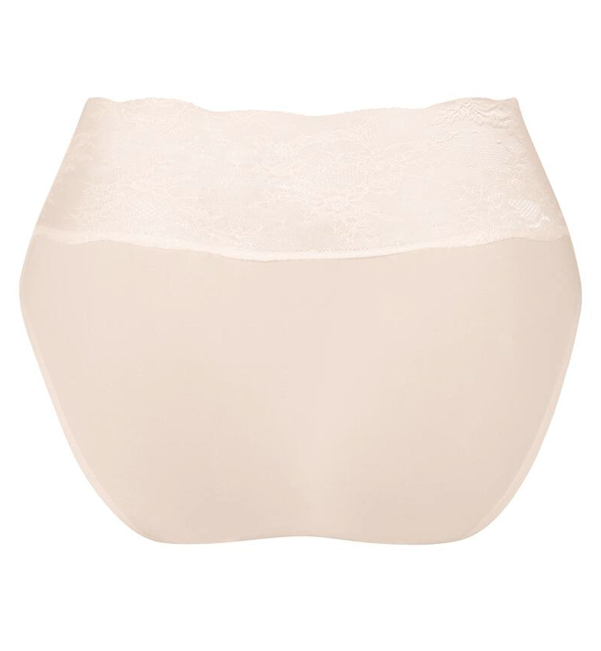 Anita Essential Lace High Waist Brief Panty (1304),Small,Crystal - Crystal,Small