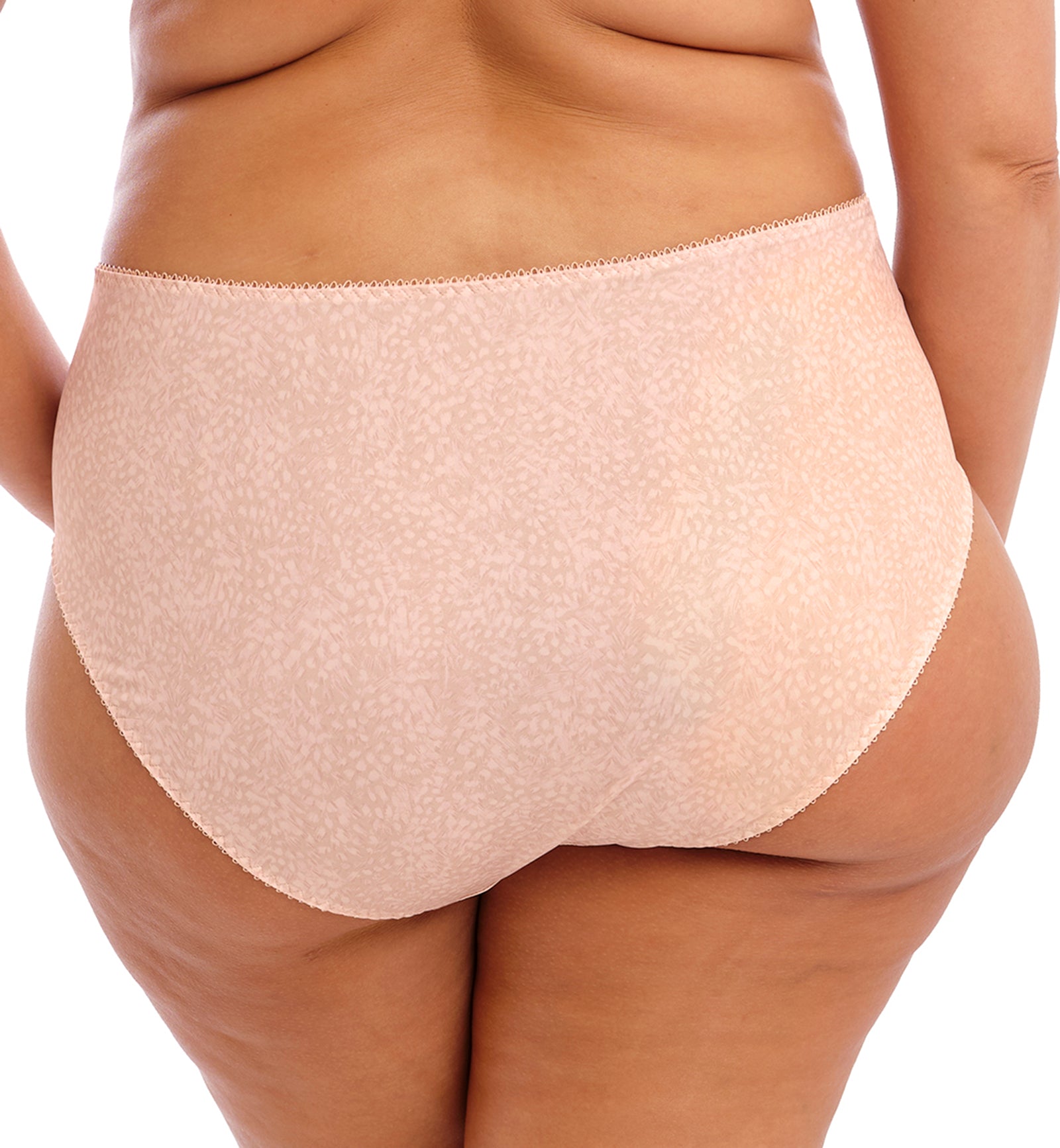 Elomi Morgan Stretch Lace Full Brief Panty (4116),Medium,Cameo Rose - Cameo Rose,Medium