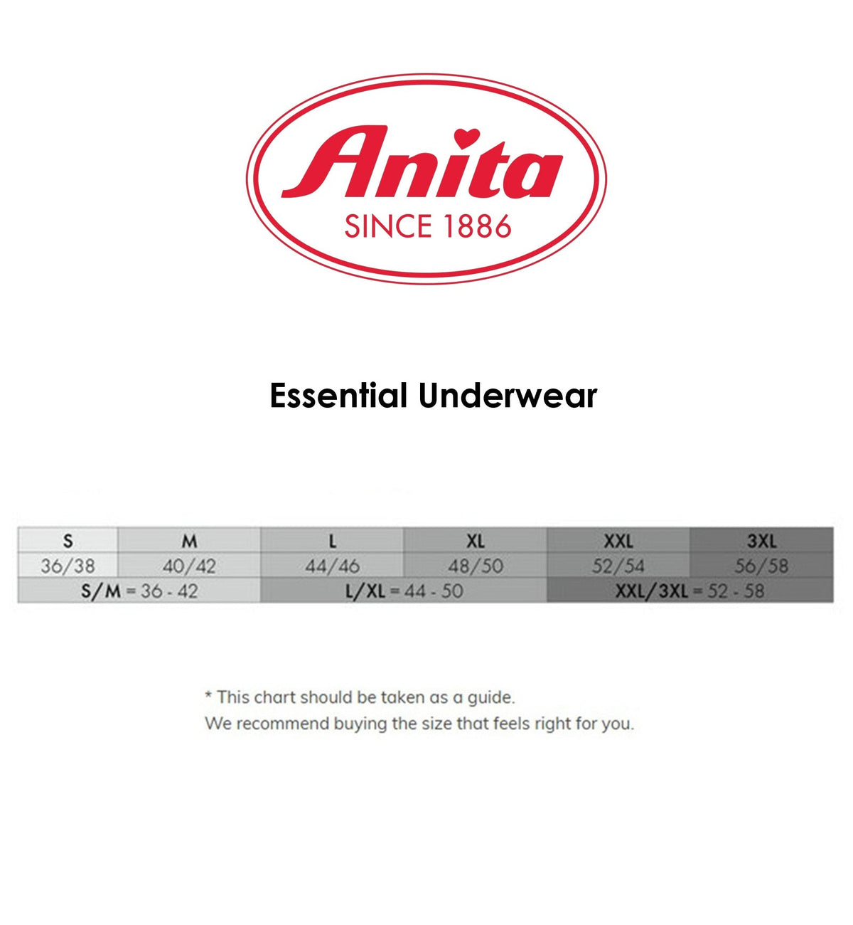 Anita Essential Lace High Waist Brief Panty (1304),Small,Anthracite - Anthracite,Small