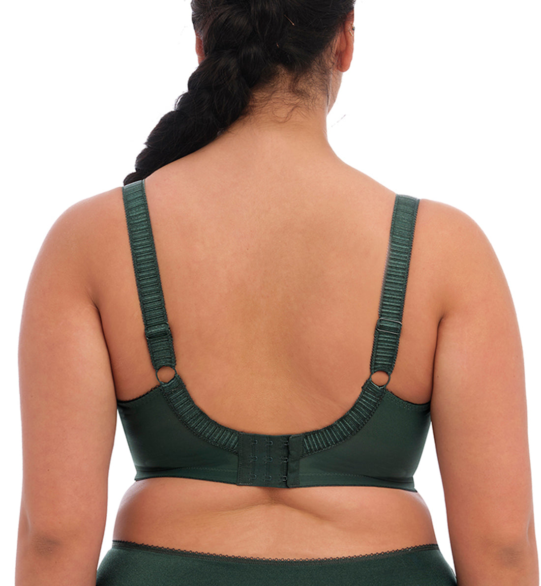 Elomi Cate Embroidered Full Cup Banded Underwire Bra (4030),34H,Pine Grove - Pine Grove,34H