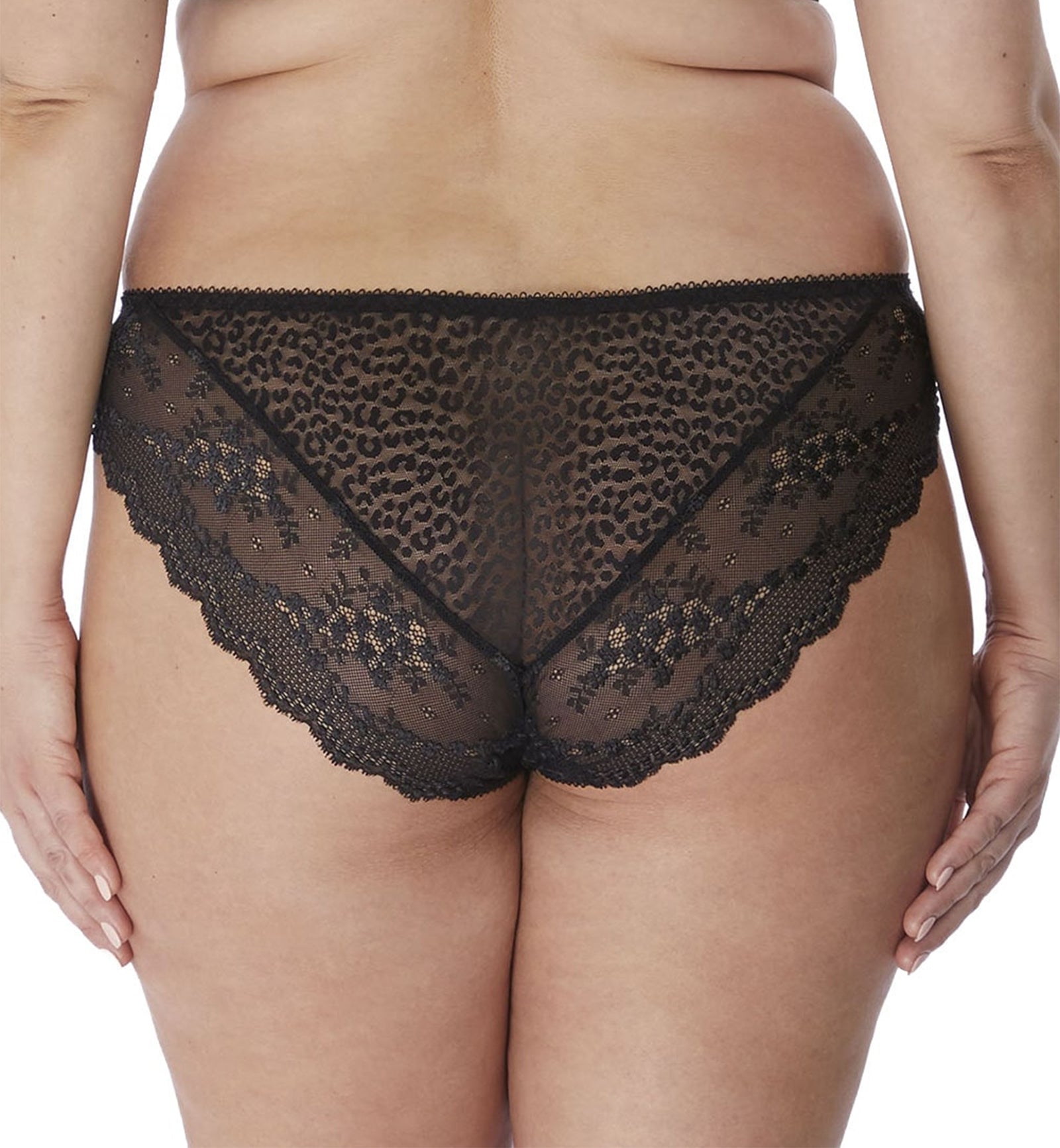 Elomi Lucie Matching Stretch Lace Brazilian Brief (4495),XXL,Meadow - Meadow,XXL