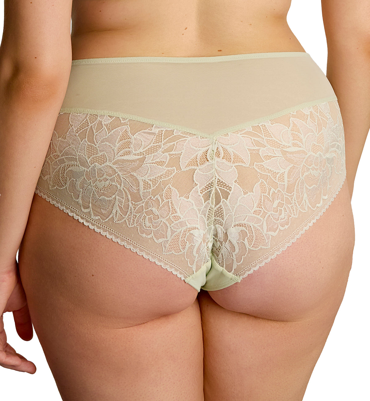 Sculptresse Dream Deep Brief (10804),Large,Pistachio - Pistachio,Large