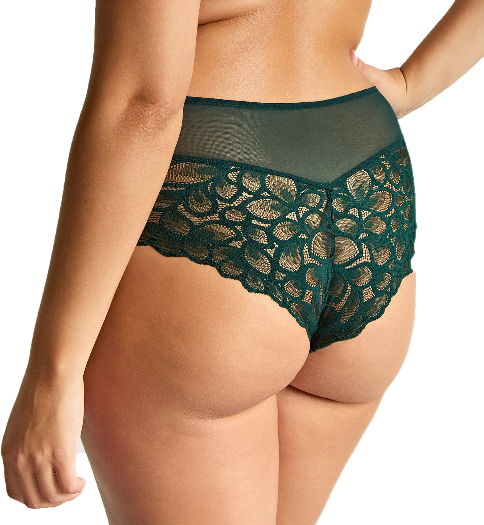 Panache Allure Deep Brief (10764),Small,Forest Green - Forest Green,Small