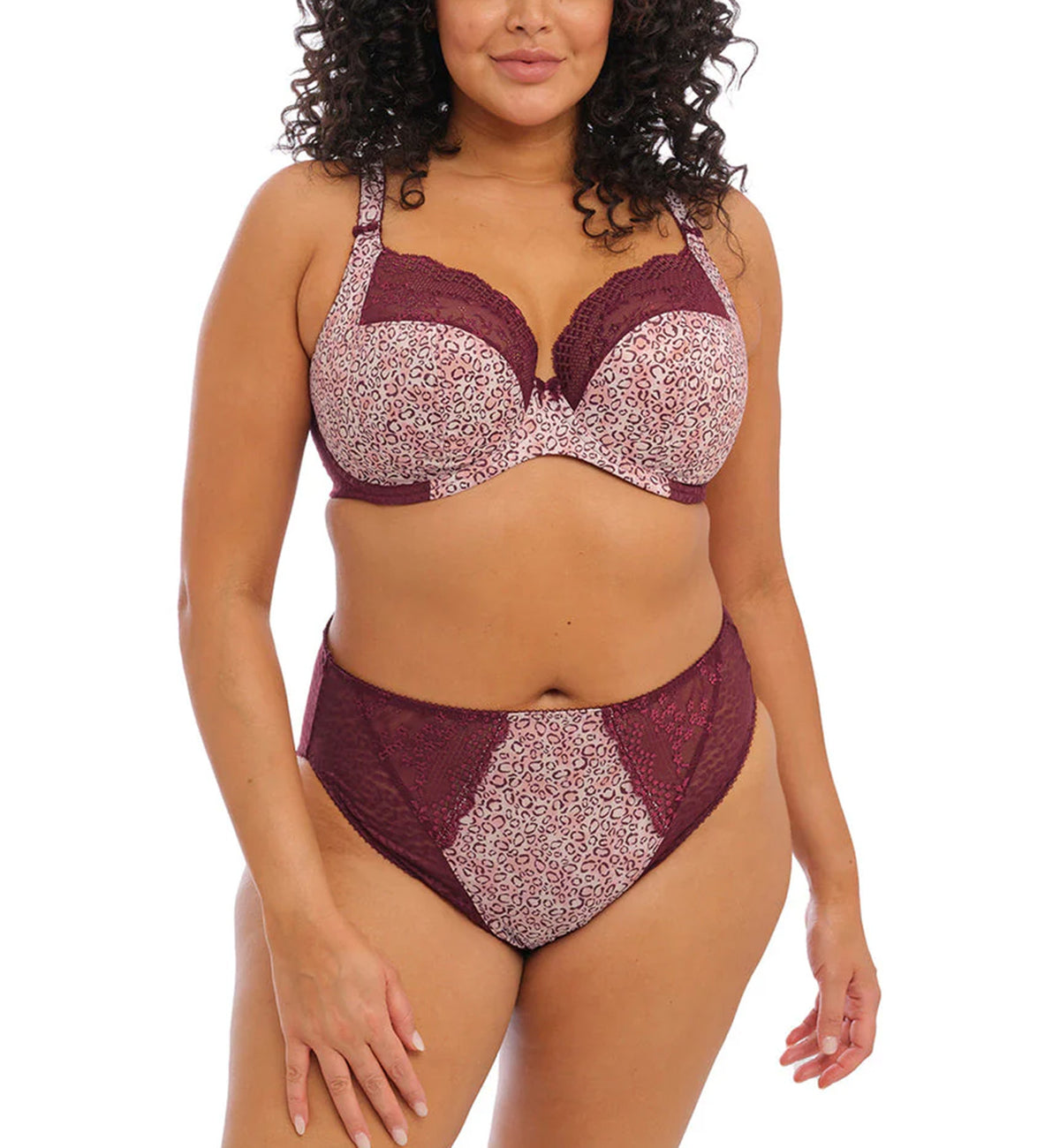Elomi Lucie Matching High Leg Brief (4496),Medium,Wild Thing - Wild Thing,Medium