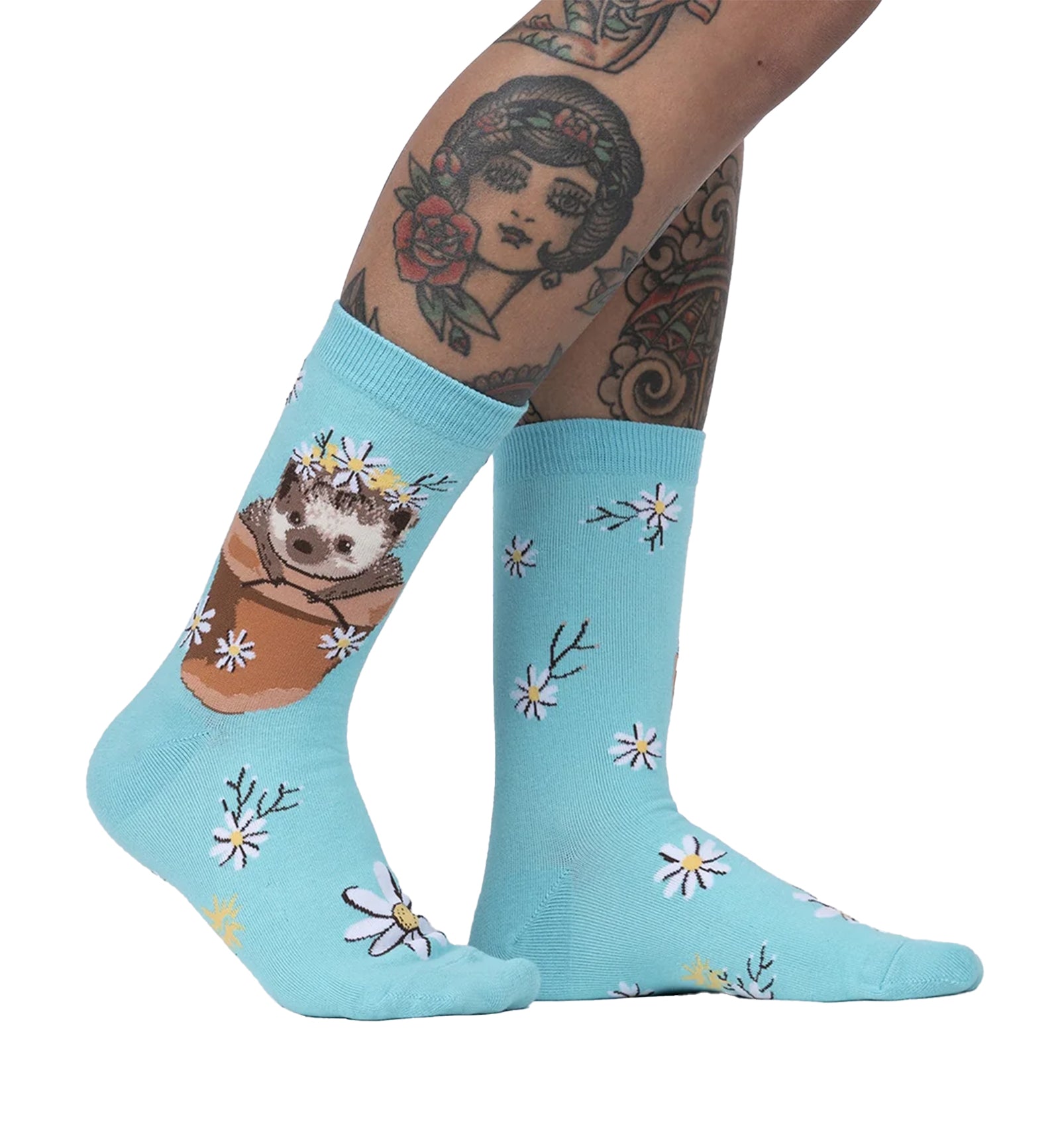 SOCK it to me Women's Crew Socks (w0356),My Dear Hedgehog - My Dear Hedgehog,One Size