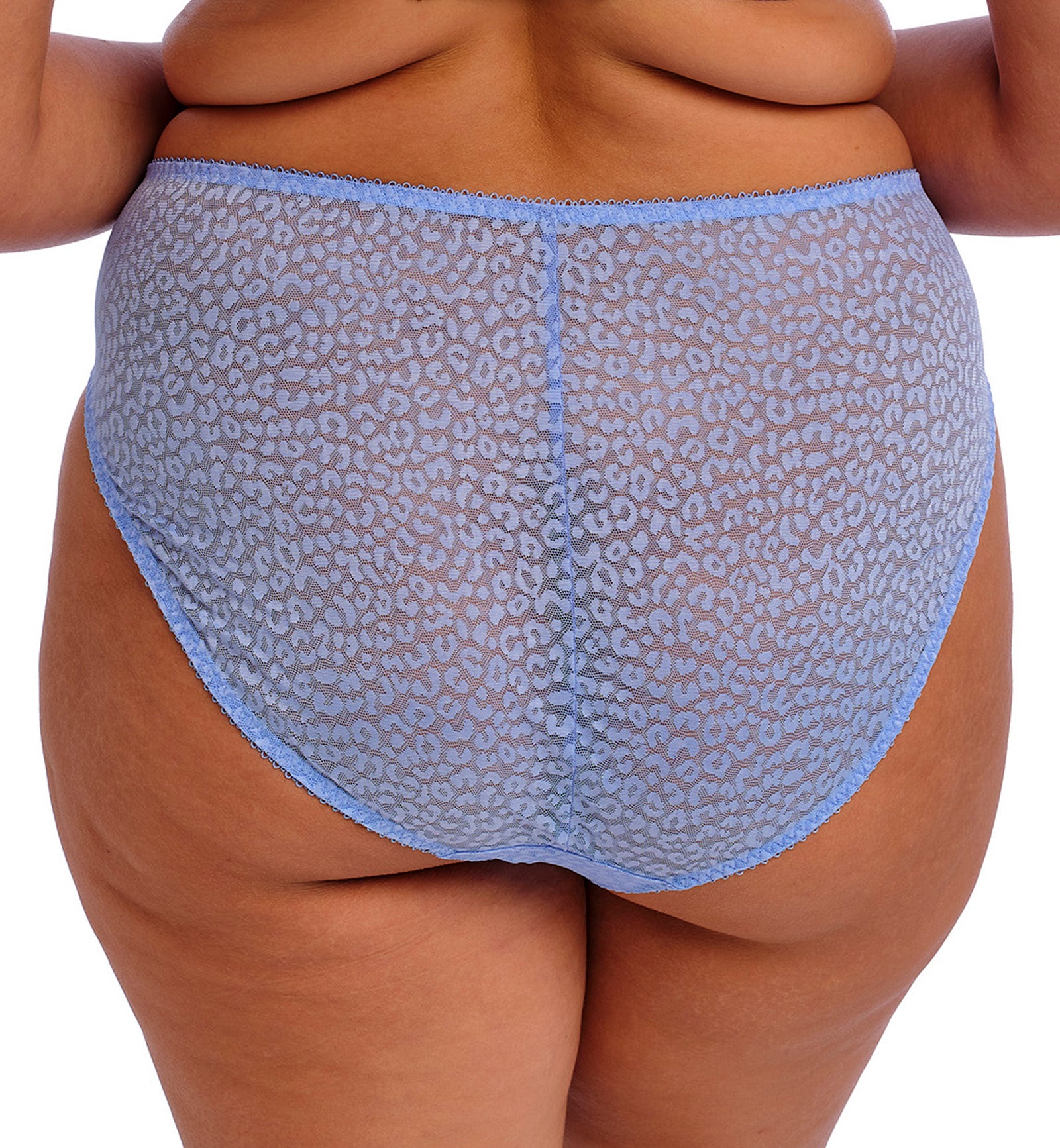 Elomi Lucie Matching High Leg Brief (4496),Medium,Cornflower - Cornflower,Medium