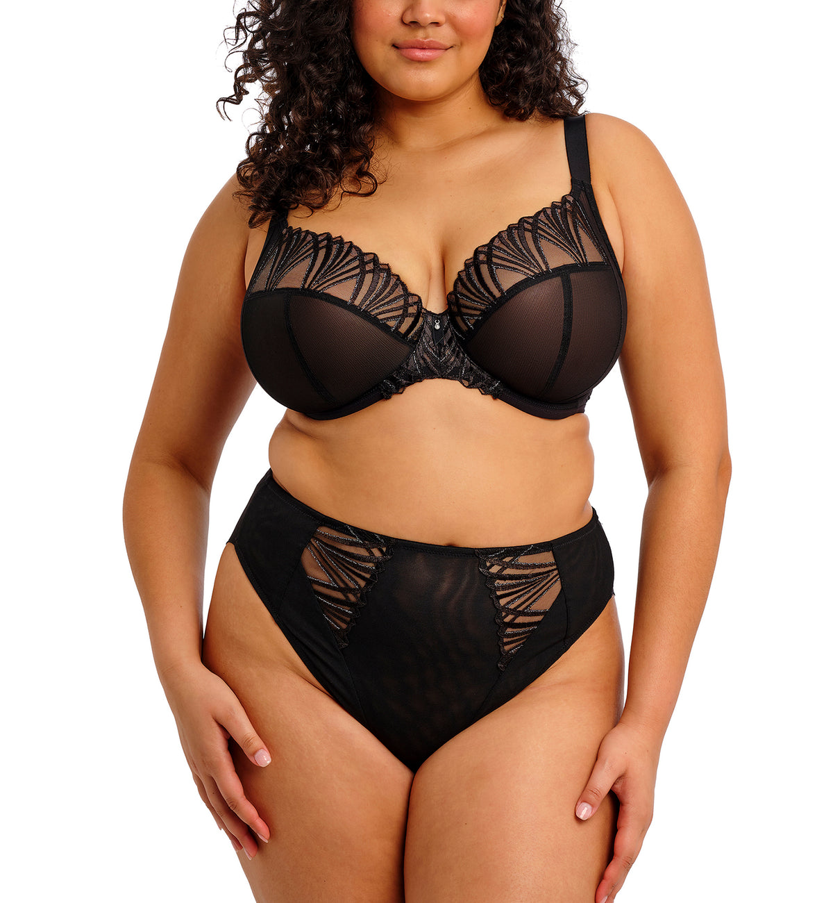 Elomi Reja Panty Brief (303150),Small,Black - Black,Small