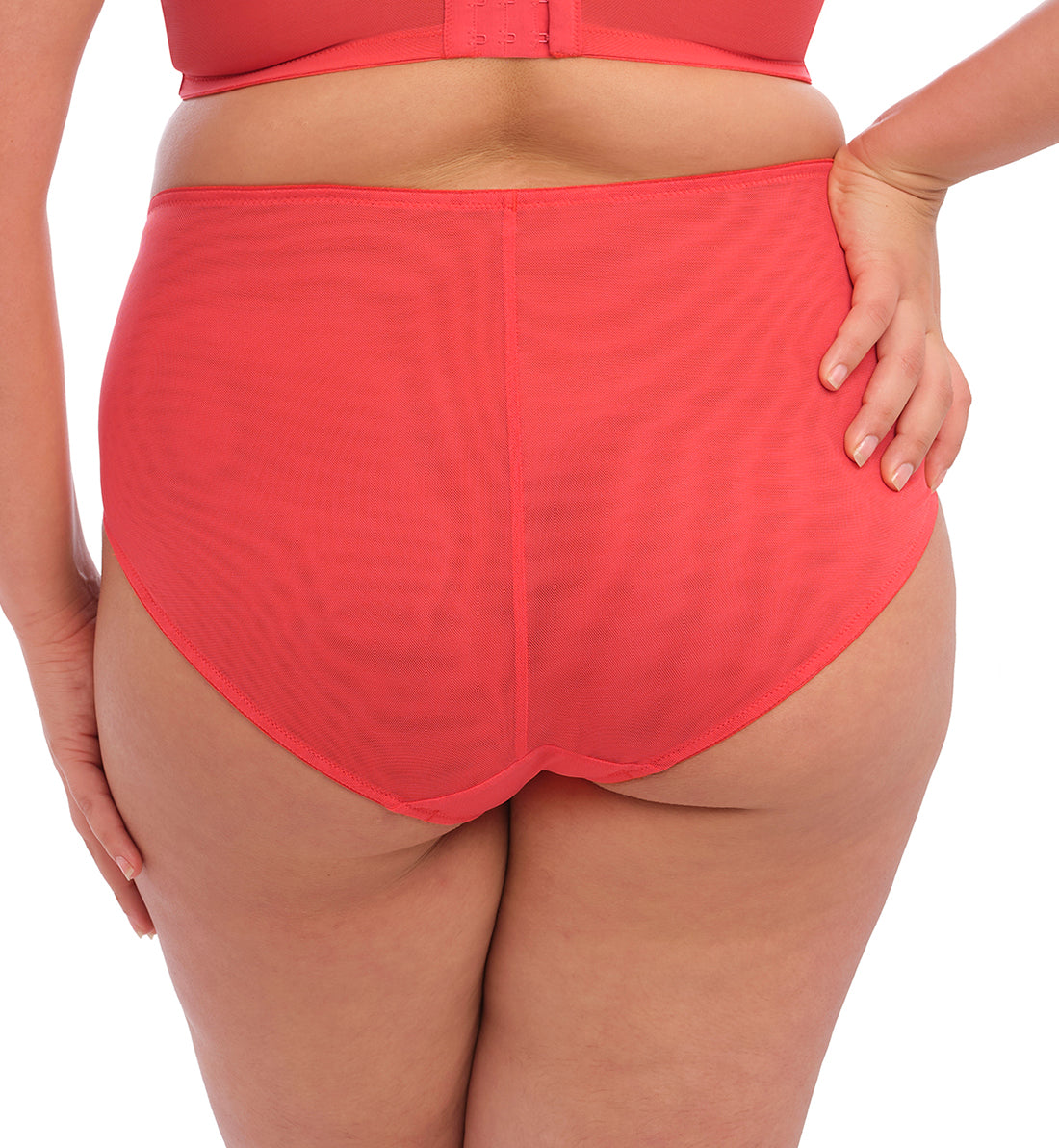 Elomi Brianna Full Panty Brief (8085),Large,Cayenne - Cayenne,Large