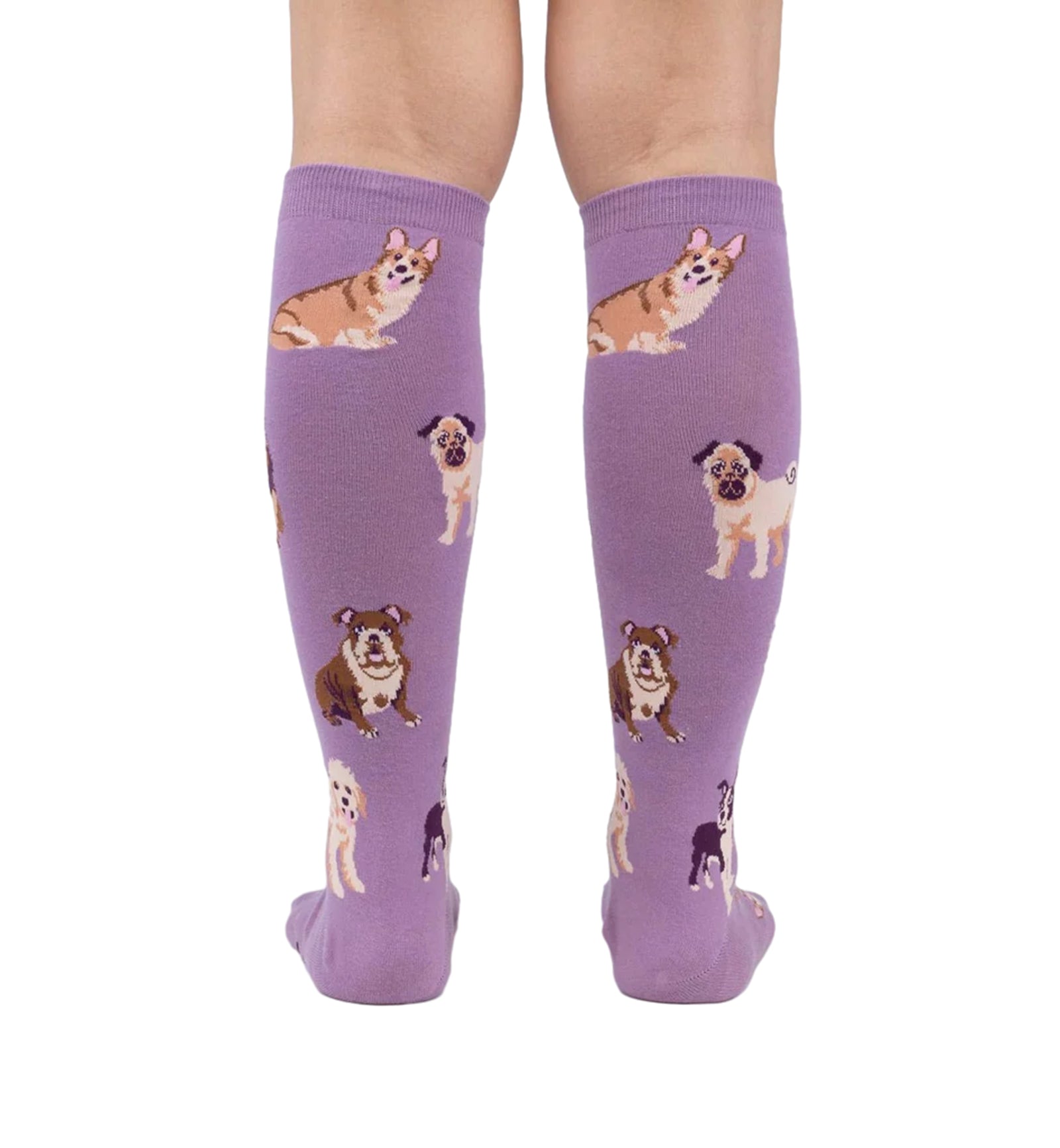SOCK it to me Unisex Knee High Socks (F0523),Stay Pawsitive - Stay Pawsitive,One Size