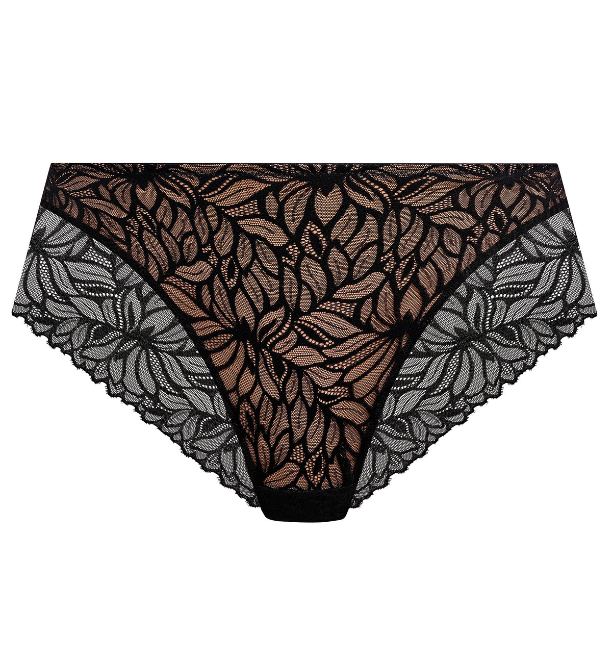 Elomi Carena Brief (303550),Small,Black - Black,Small