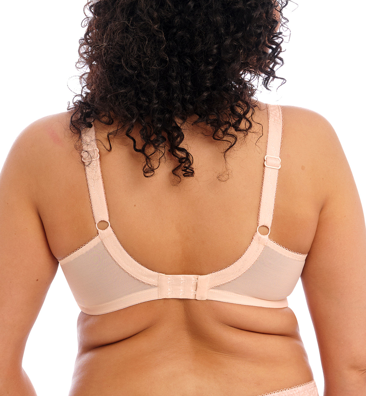 Elomi Morgan Stretch Lace Banded Underwire Bra (4110),32GG,Cameo Rose - Cameo Rose,32GG