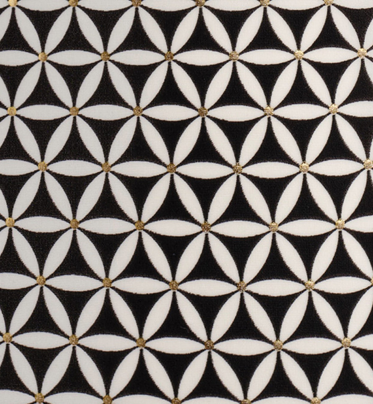 Freya Koh Tao Underwire Halter Bikini Top (207204) - Black