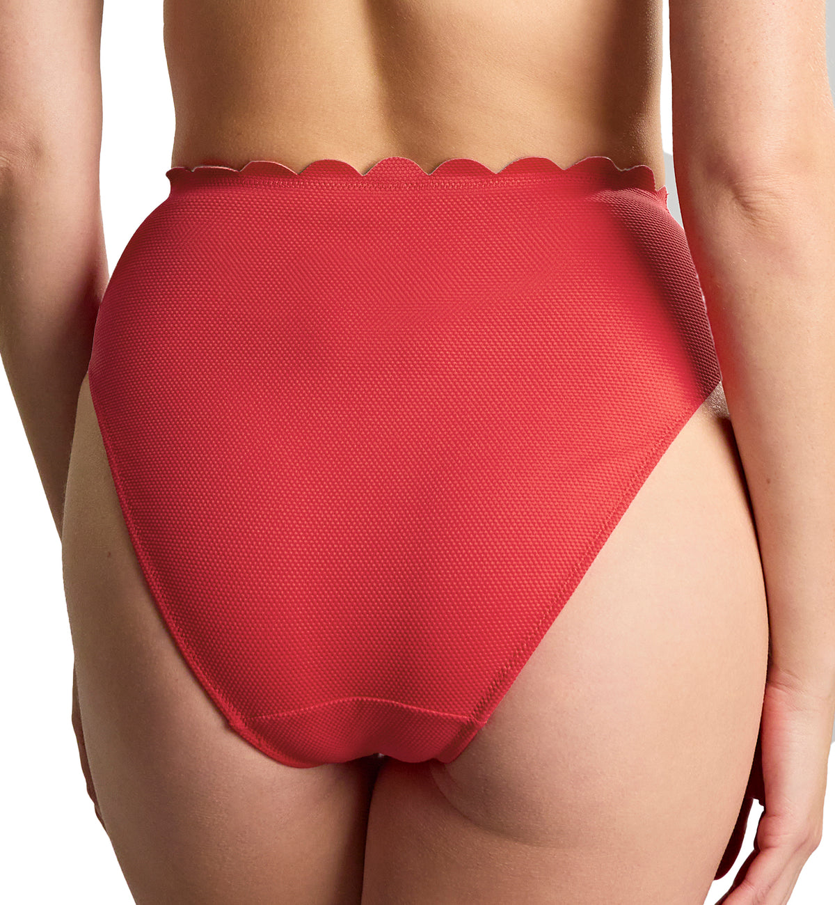 Panache Spirit High Waist Swim Brief (SW1825),XS,Red - Red,XS