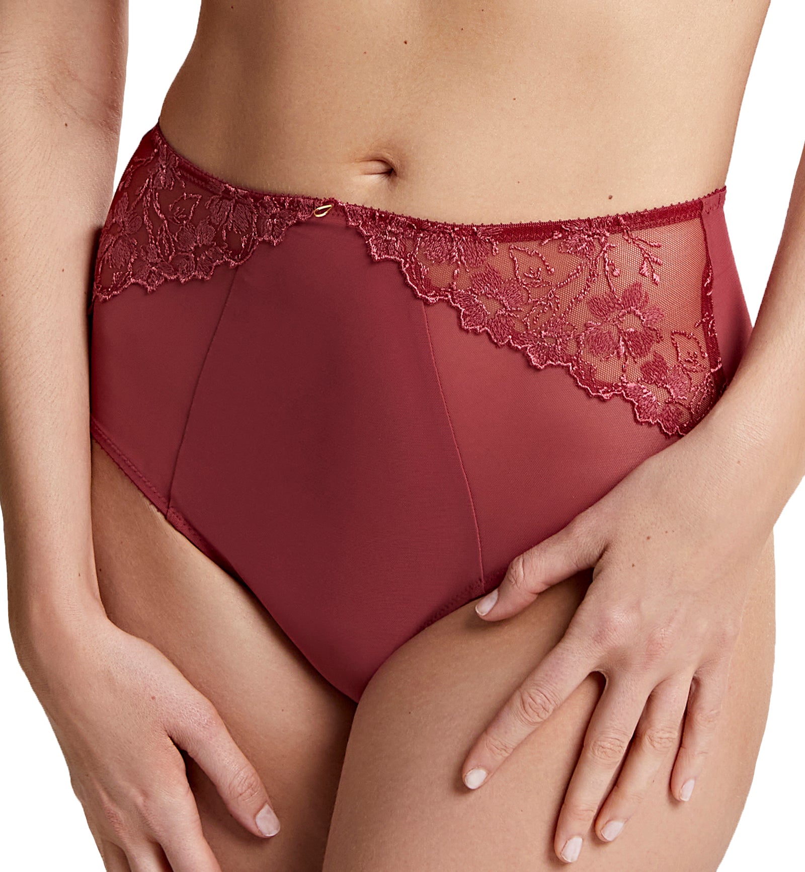 Panache Emilia Deep Brief (10444),XL,Mineral Red - Mineral Red,XL
