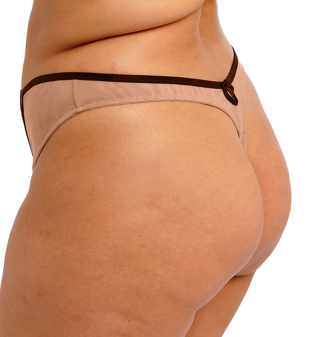 Elomi Teagan Thong (302670),Small,Cafe Au Lait - Cafe Au Lait,Small