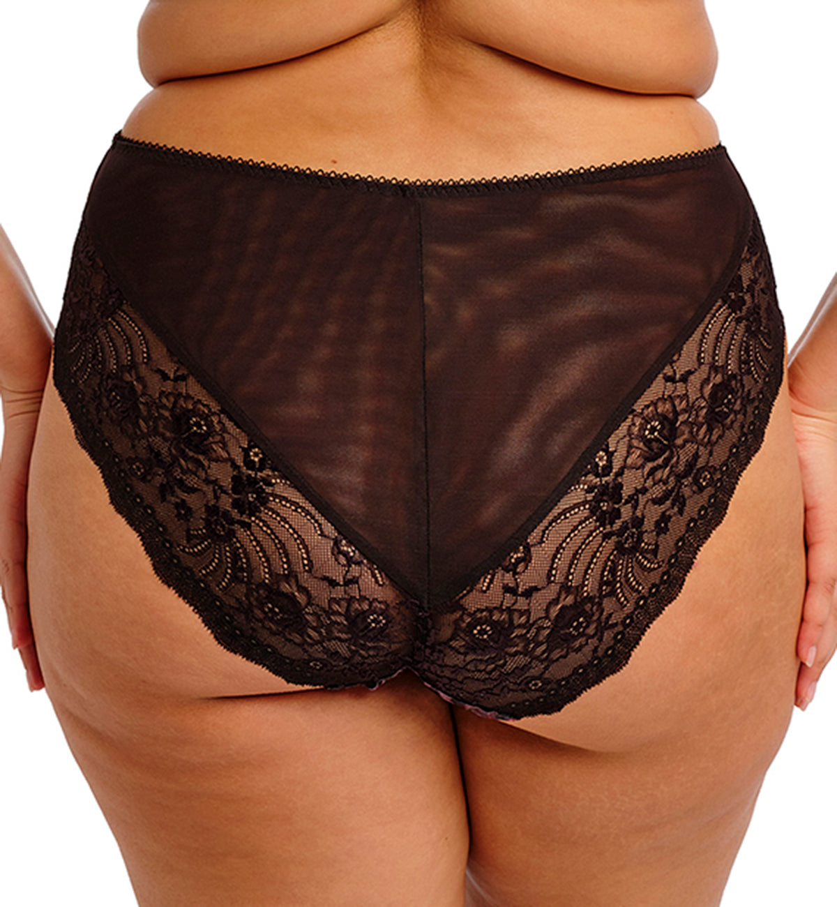 Elomi Morgan High Leg Brief Panty (4118),Medium,Dark Romance - Dark Romance,Medium