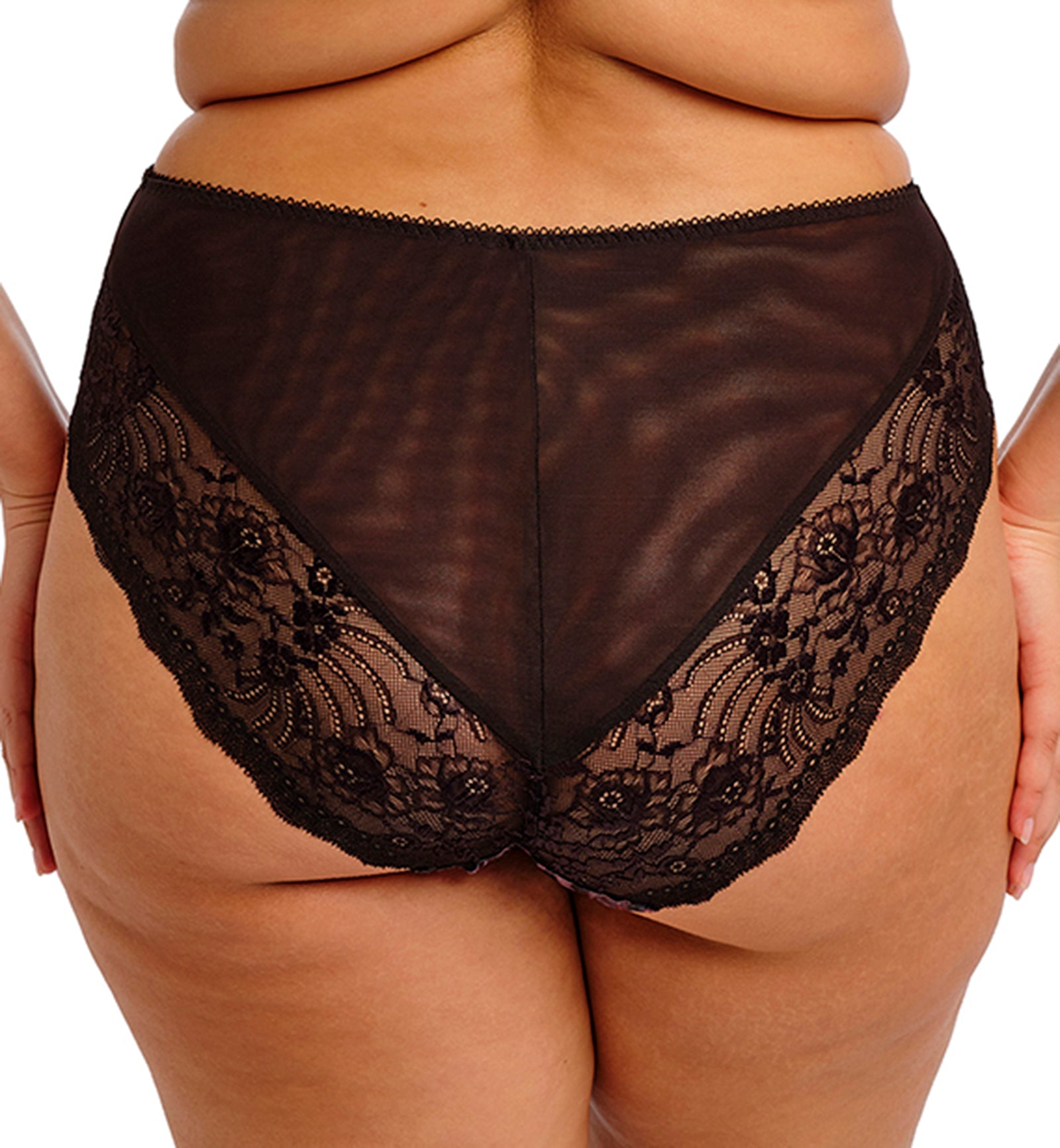 Elomi Morgan High Leg Brief Panty (4118),Medium,Dark Romance - Dark Romance,Medium
