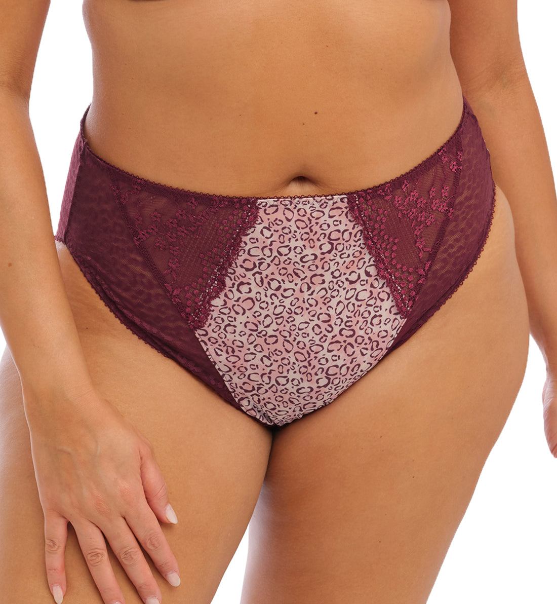 Elomi Lucie Matching High Leg Brief (4496),Medium,Wild Thing - Wild Thing,Medium