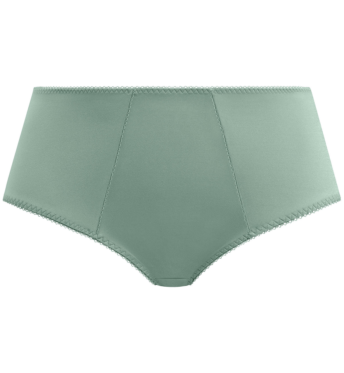 Goddess Keira Matching Brief (6095),Medium,Seafoam - Seafoam,Medium