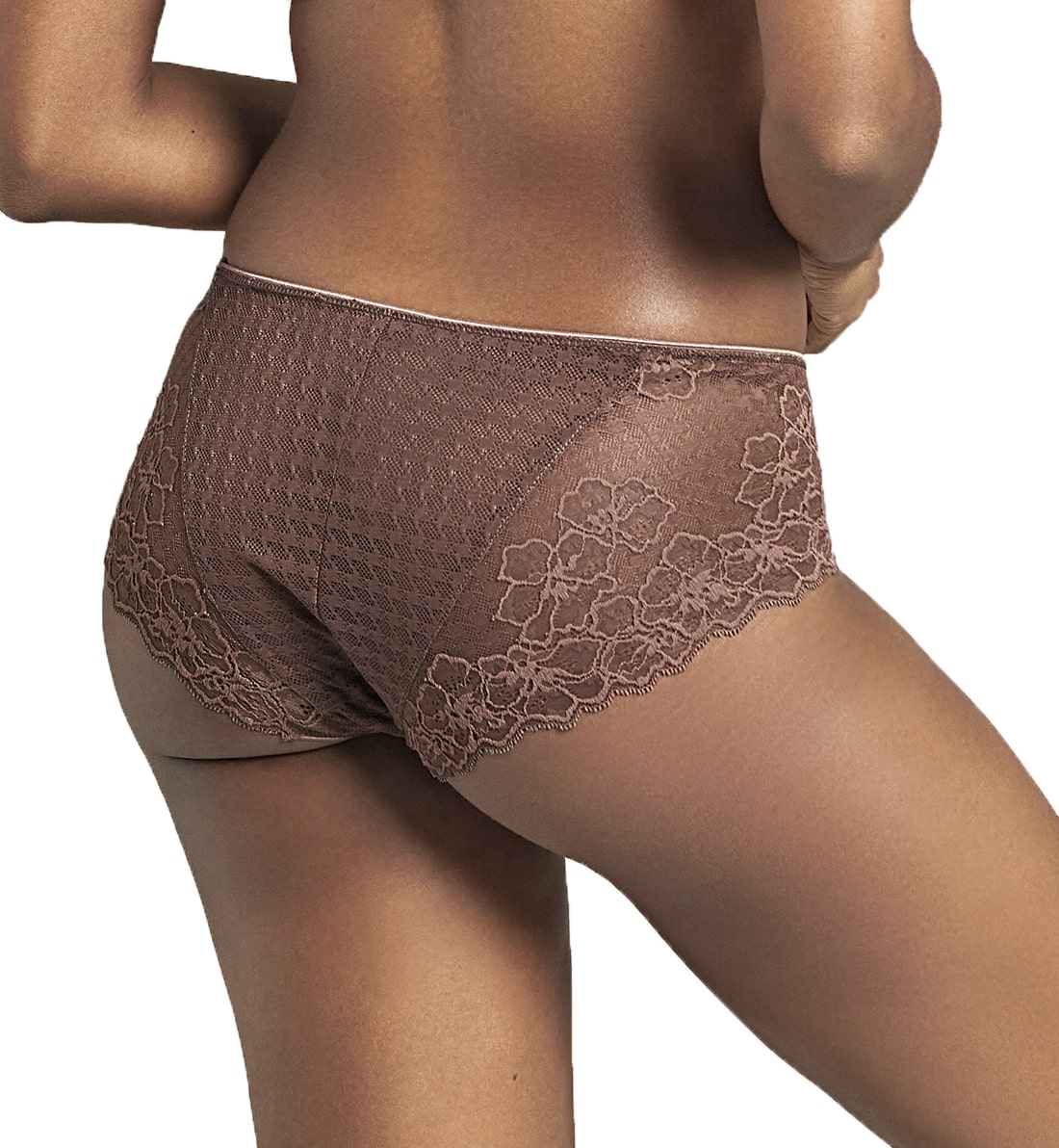 Panache Envy Matching Brief (7282),Small,Chestnut - Chestnut,Small