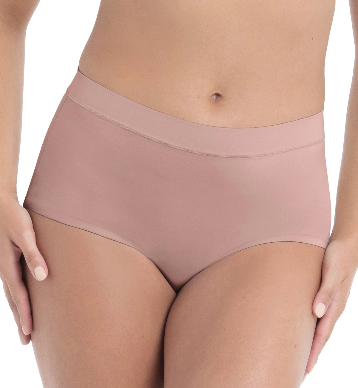 Anita Essential High Waist Panty (1943),Small,Rosewood - Rosewood,Small