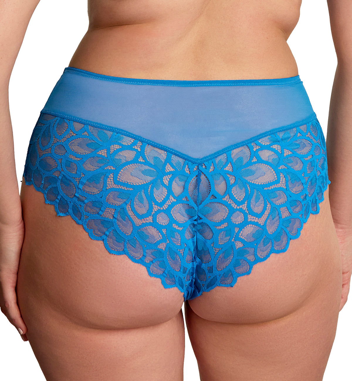 Panache Allure Deep Brief (10764),Small,Azure Blue - Azure Blue,Small