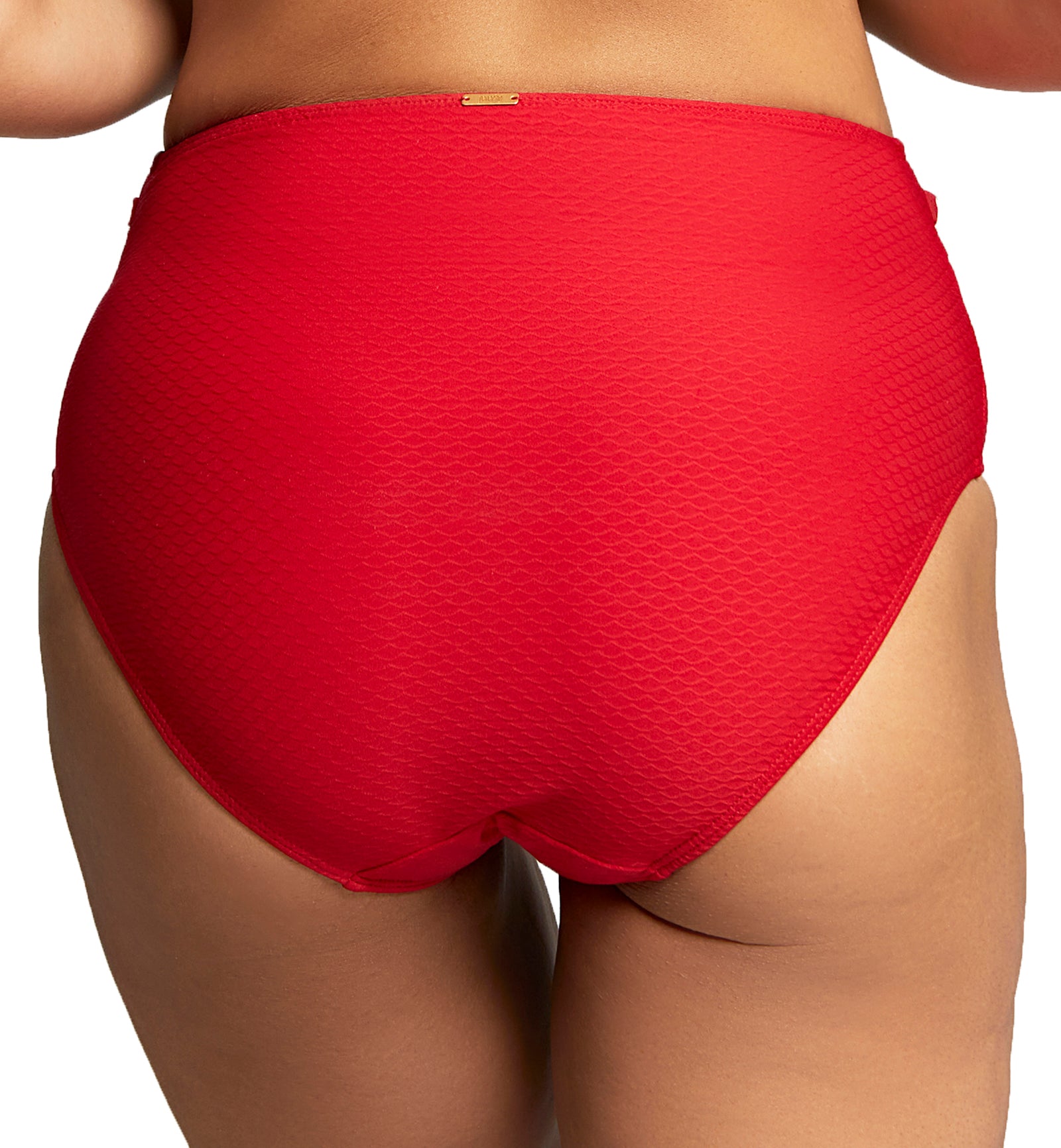 Panache Marianna High Waist Swim Pant (SW1595),XS,Crimson - Crimson,XS