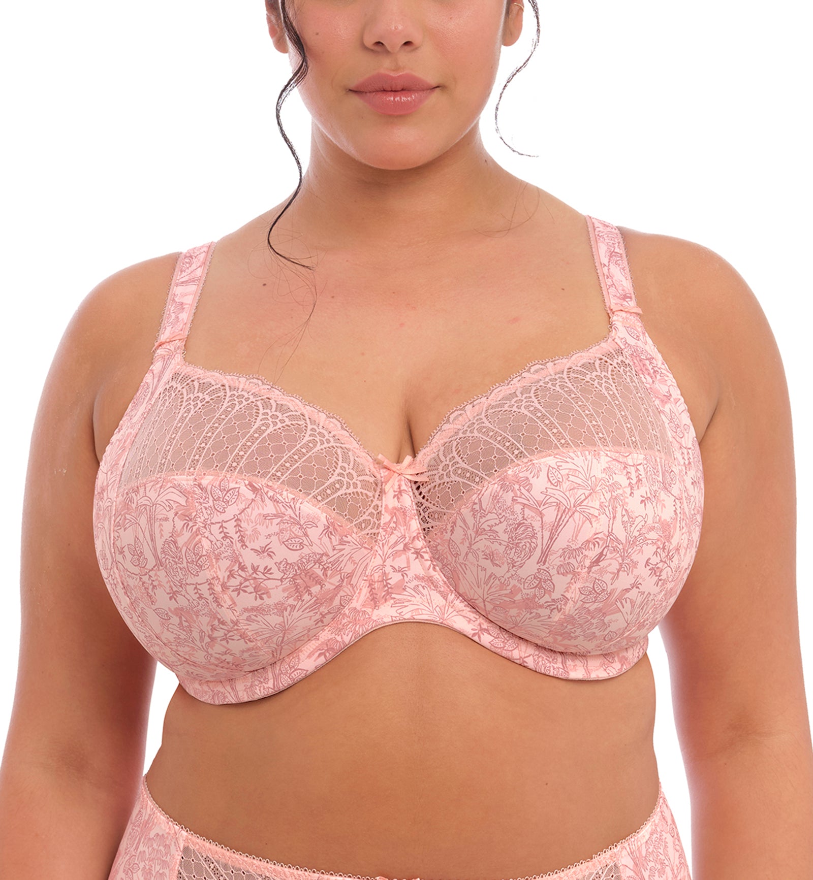 Elomi Mariella Stretch Lace Banded Underwire Bra (4420),32H,Peachy Tiger - Peachy Tiger,32H