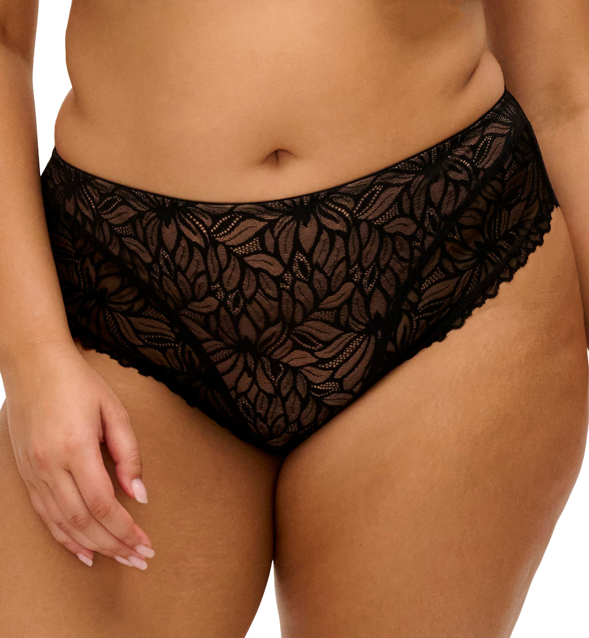 Elomi Carena Brief (303550),Small,Black - Black,Small