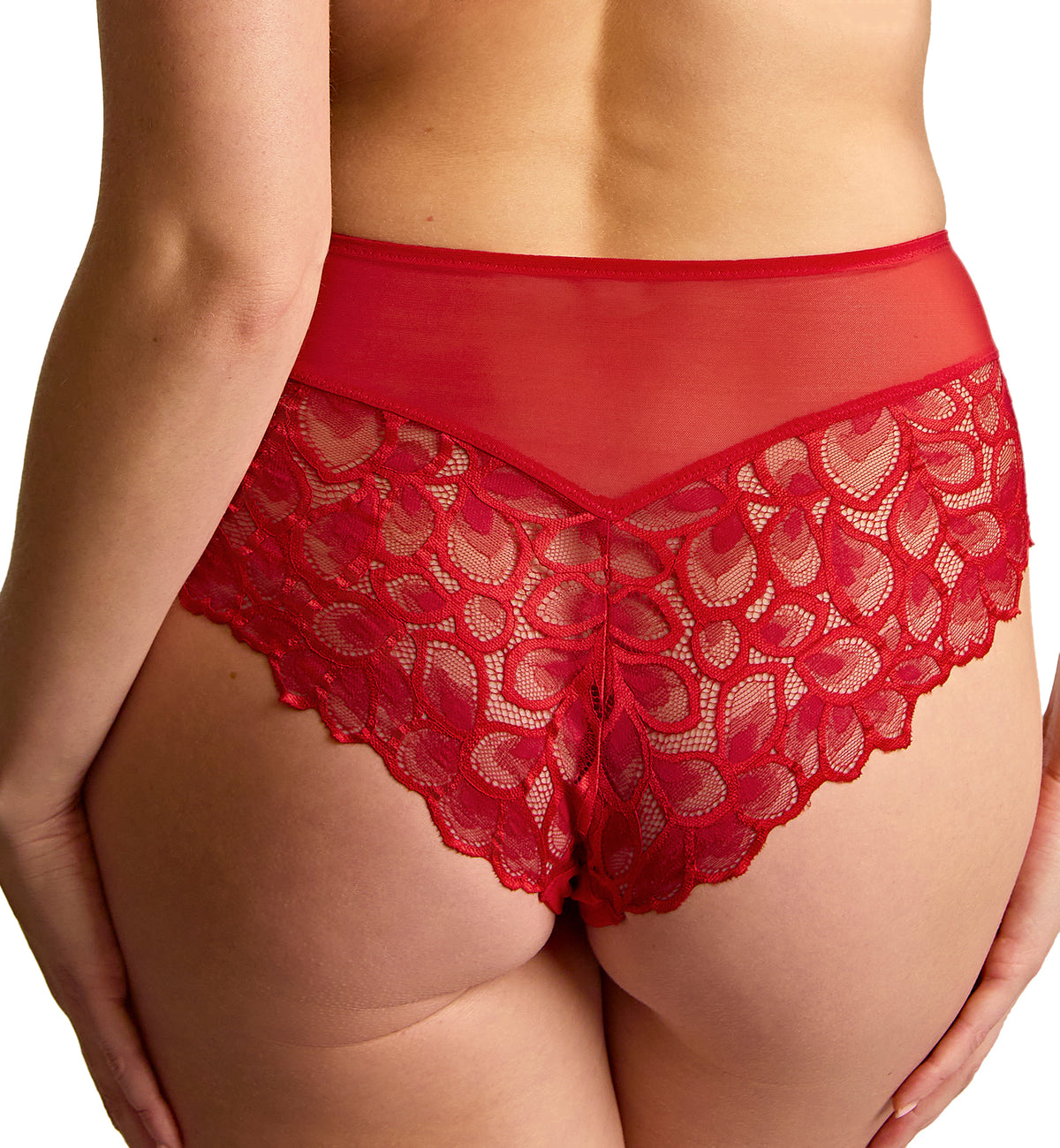 Panache Allure Deep Brief (10764),XS,True Red - True Red,XS