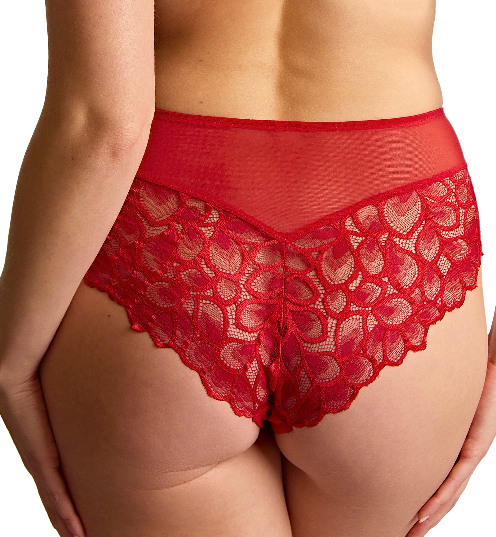 Panache Allure Deep Brief (10764),XS,True Red - True Red,XS